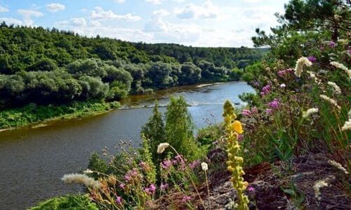 Продам земельну ділянку село Губків