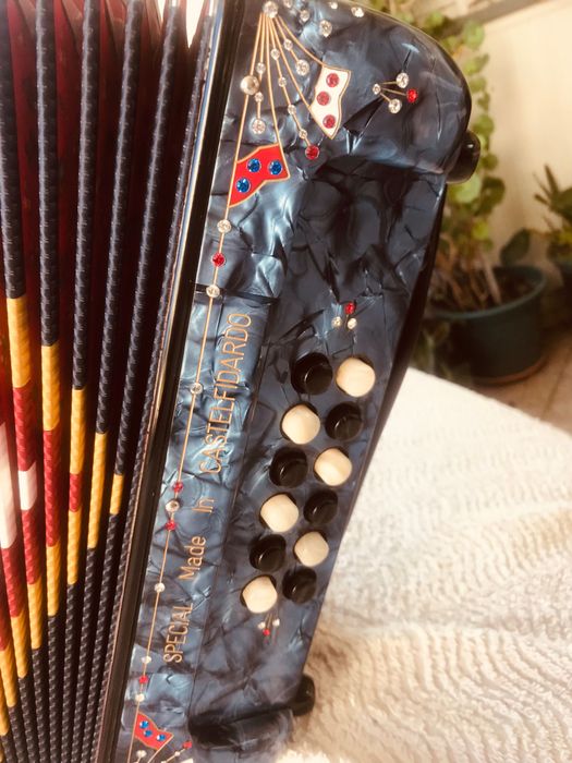 Vendo esta concertina em SOL DO FA da Famosa marca Serenata