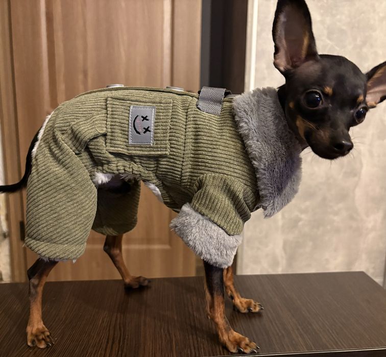Комбінезон на собачку