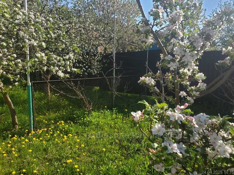 Продаж будинку в Брюховичах, вулиця Лікарська