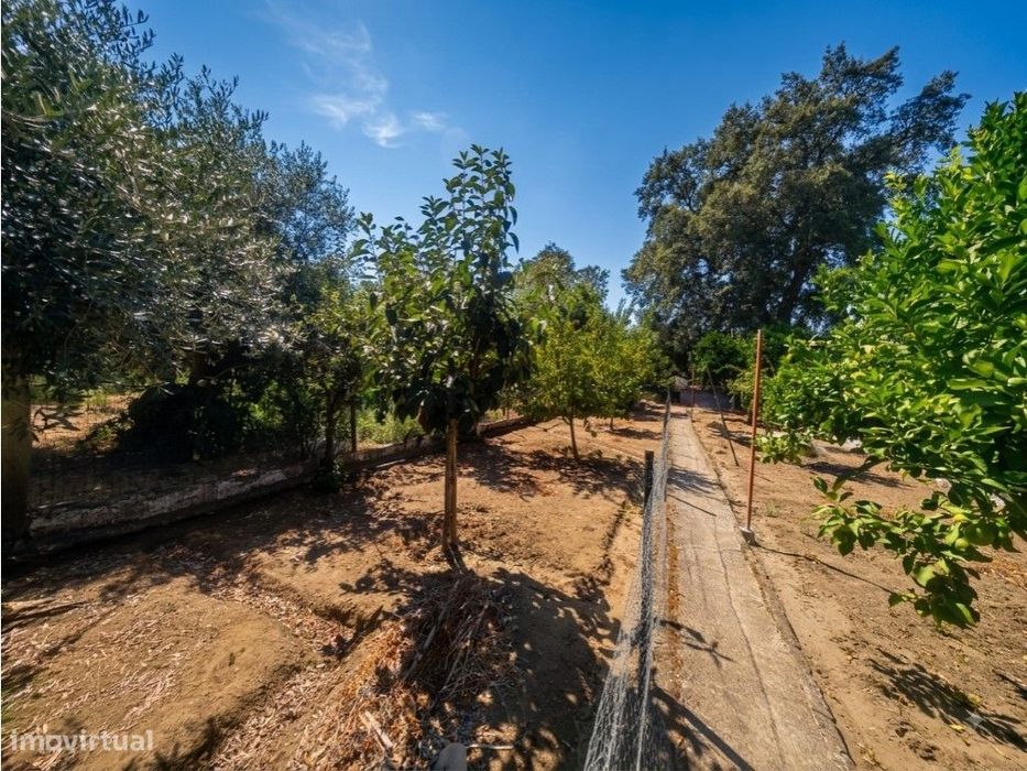 Moradia T2 Totalmente Remodelada com Terreno e Poço em Vale do Pereiro