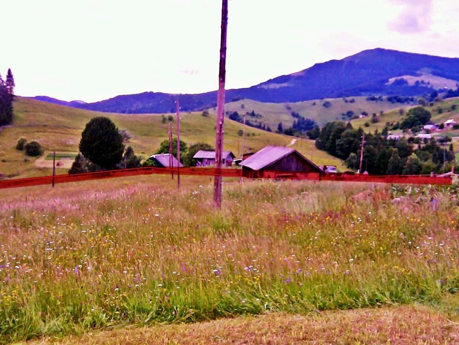 Земельна ділянка. КАРПАТИ