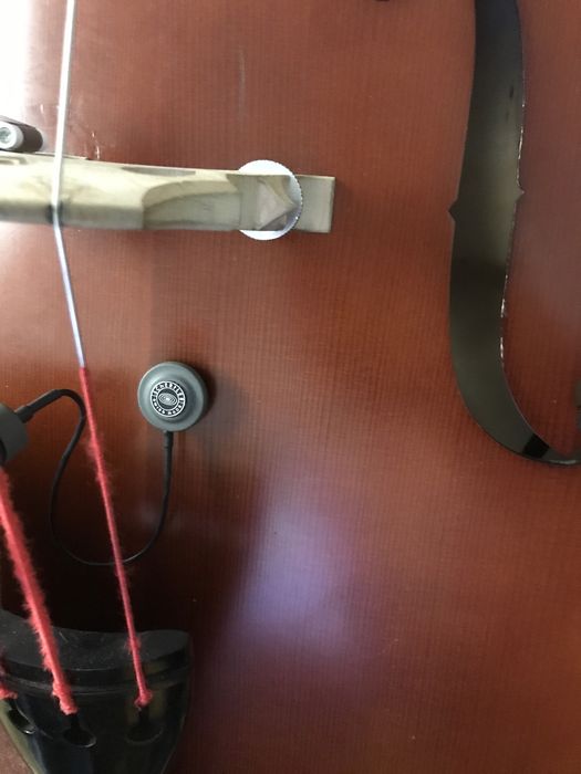 Shertler Dyn B Capatador para contrabaixo