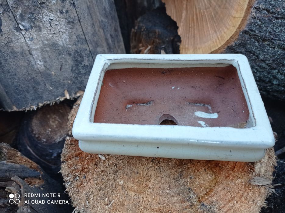 Горщик для бонсай Плошка