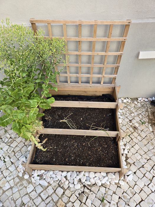 Vendo orta para quintal