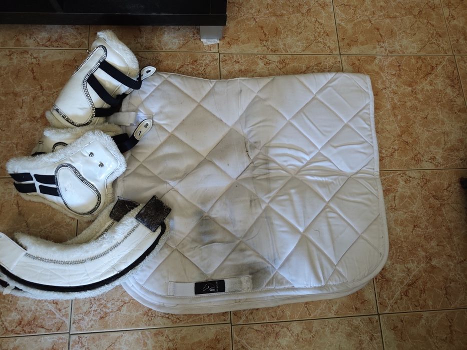 Suadouros dressage