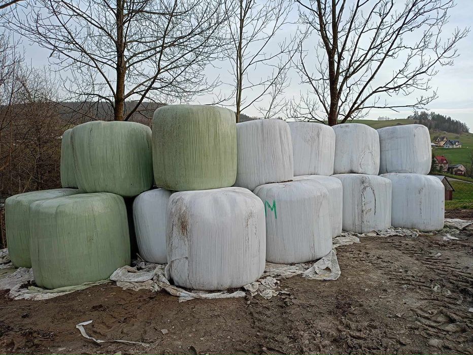Baloty sianokiszonka 125x140 załadunek w cenie