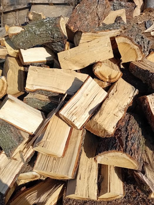 Drewno opałowe kominkowe