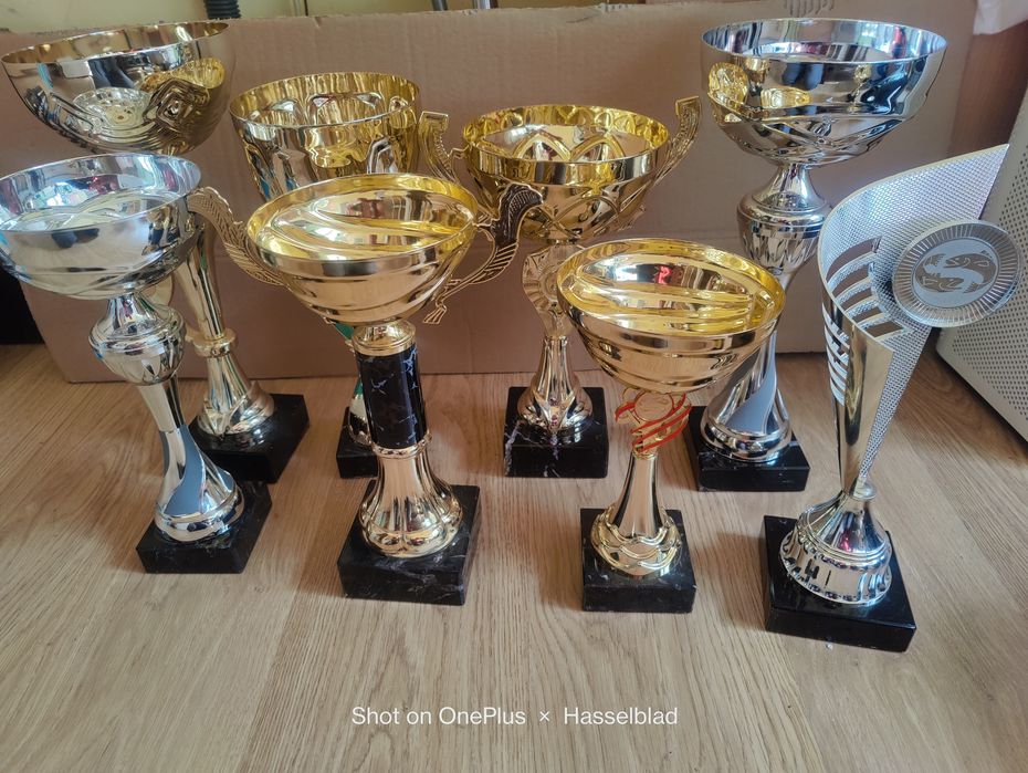 Złote puchary zwycięzcy