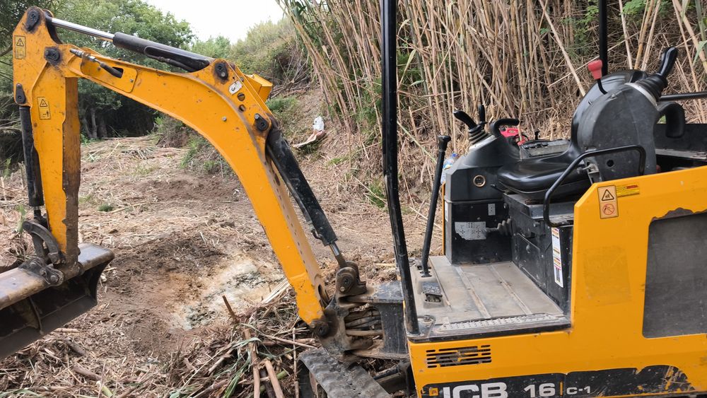 Limpeza terreno  zona sintra corte arvores