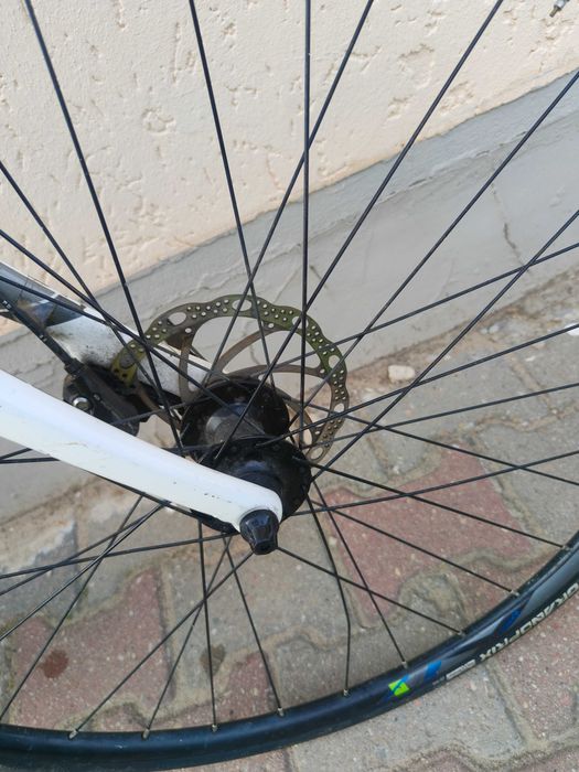 Trek Domane ALR 4 Disc 52 cm | Hydraulika | Sztywna Oś Tył