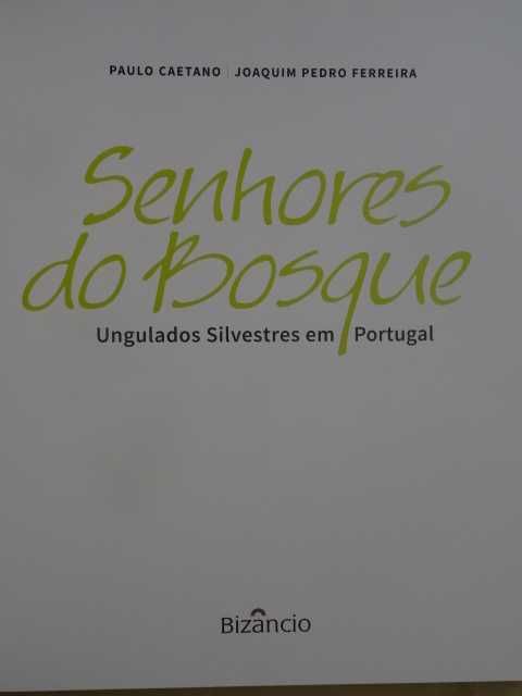 Senhores do Bosque de Paulo Caetano e Joaquim Pedro Ferreira