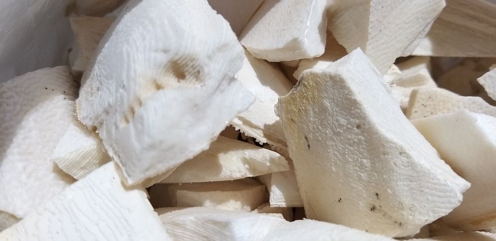 Osso de choco aos quadradinhos.