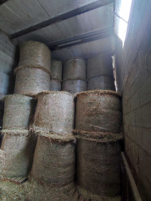 Rolos de Feno 2025 - Venda