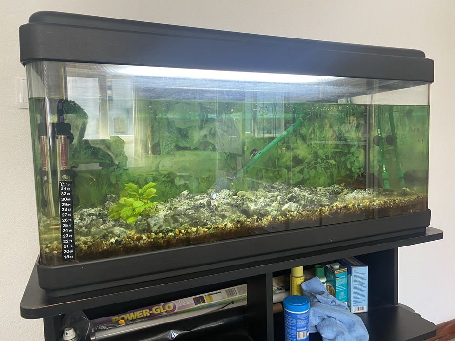 AQUÁRIO 100 litros completamente equipado com Móvel
