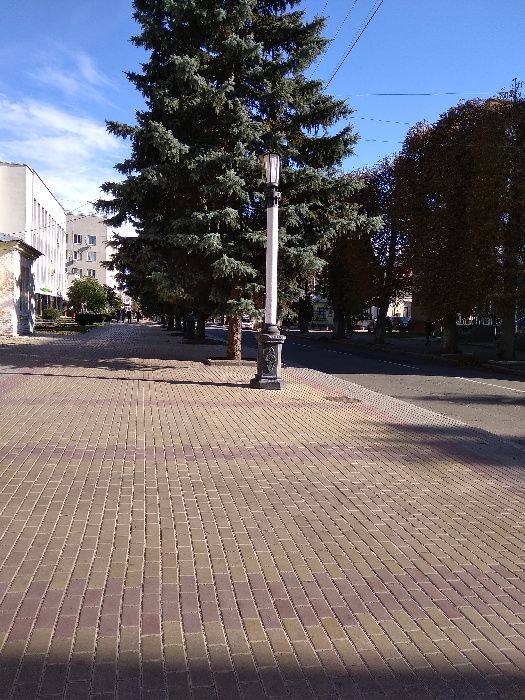 Здам 3-х кім, подобово, чек 989023145