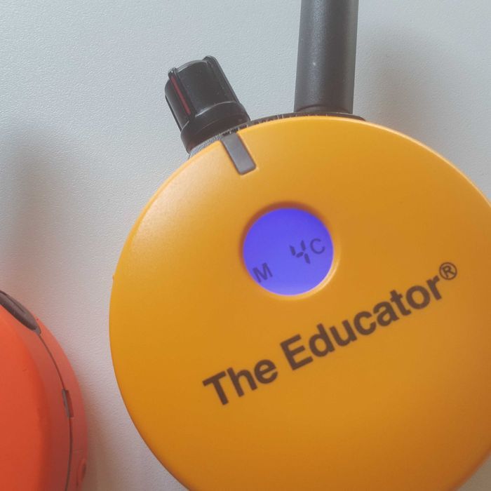 obroża elektryczna do nauki psa profesjonalna e-collar et-400 Usa