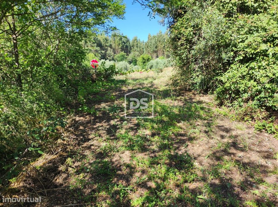 Terreno Rústico  Venda em Areias e Pias,Ferreira do Zêzere