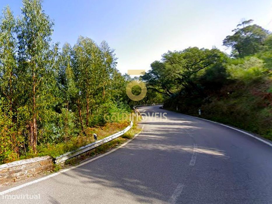 Terreno Florestal em Raiva - Castelo de Paiva — Raiva, Pedorido E Paraíso, Aveiro