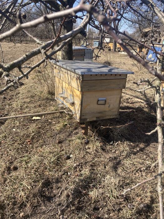 Продам вулики «украінський лежак/дадан»