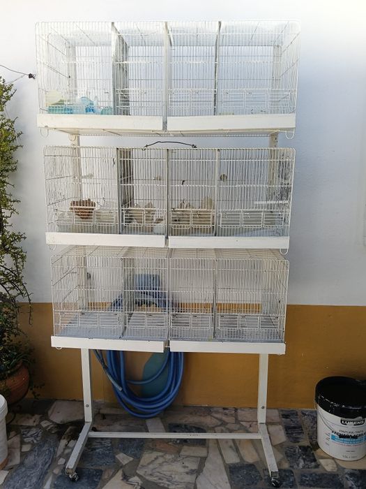 Vendo gaiola para pássaros!!!