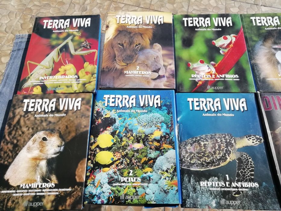 8 Lindos Livros Animais do Mundo