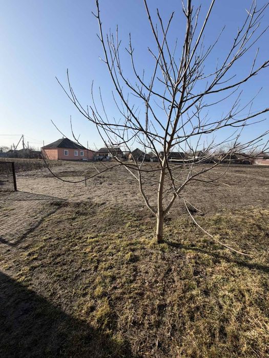 Продам дом Нові Санжари