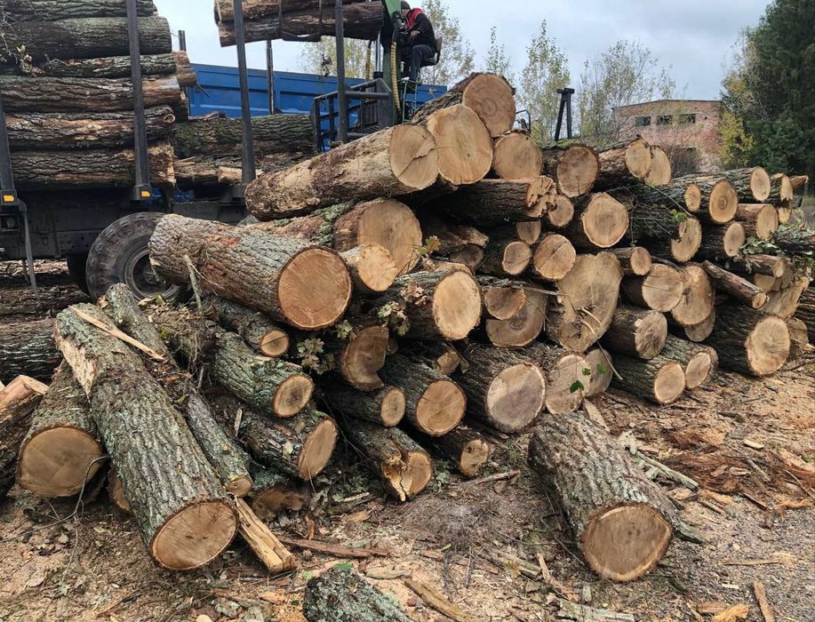 Дрова дуб, укладений щільно. Без накруток і передплати. 10-14 м3