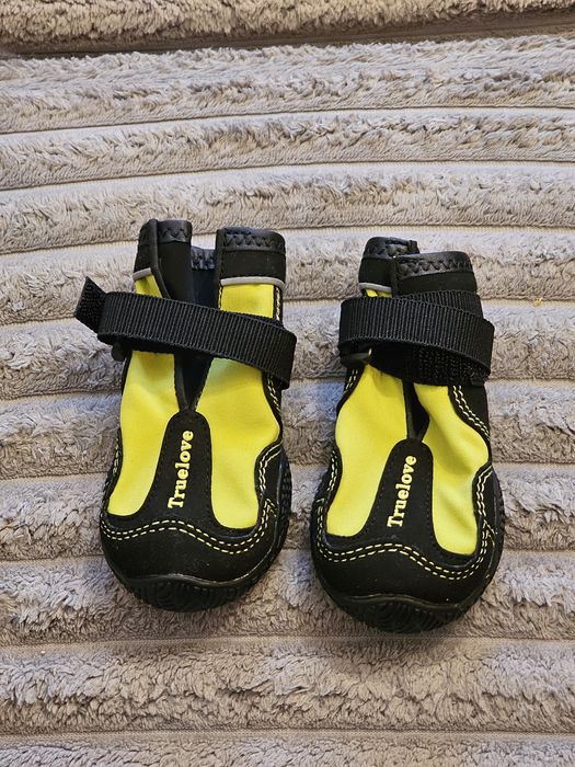 Buty trekkingowe dla psa Truelove rozm. 4 seledynowe (zielone)