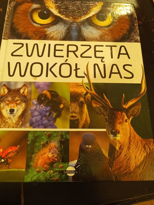 Zwierzęta wokół nas – Bogato ilustrowana encyklopedia przyrody (Omnibu