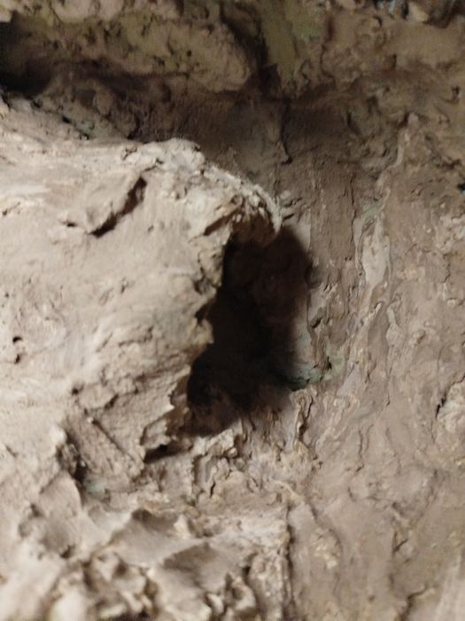 Terrarium dla gekonów