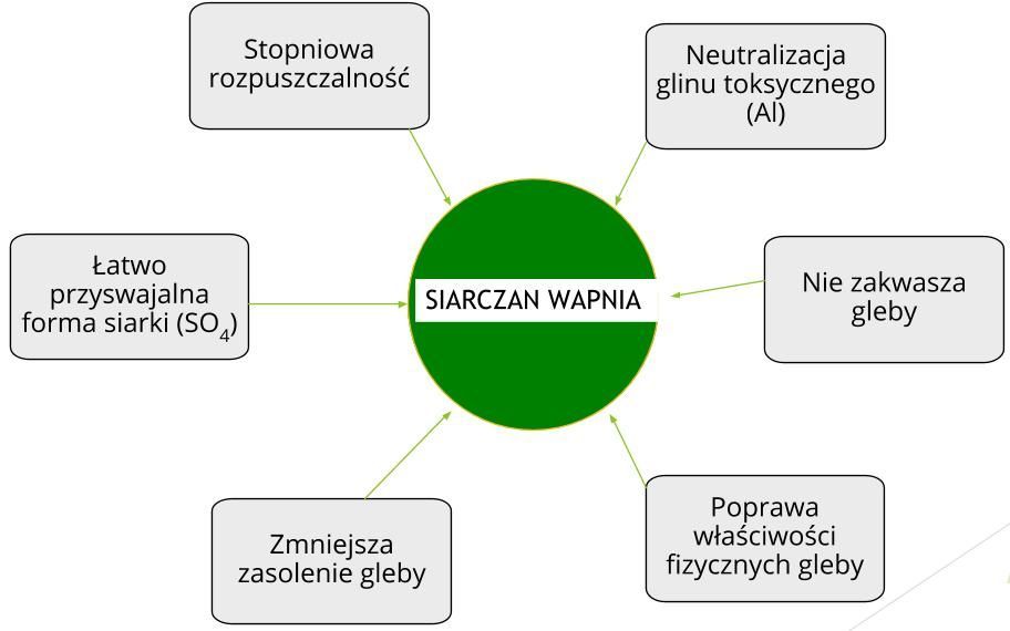 Siarczan Wapnia Nawóz siarkowo-wapniowy