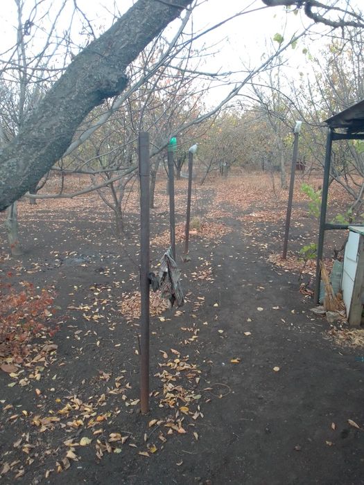 Продам виноградник