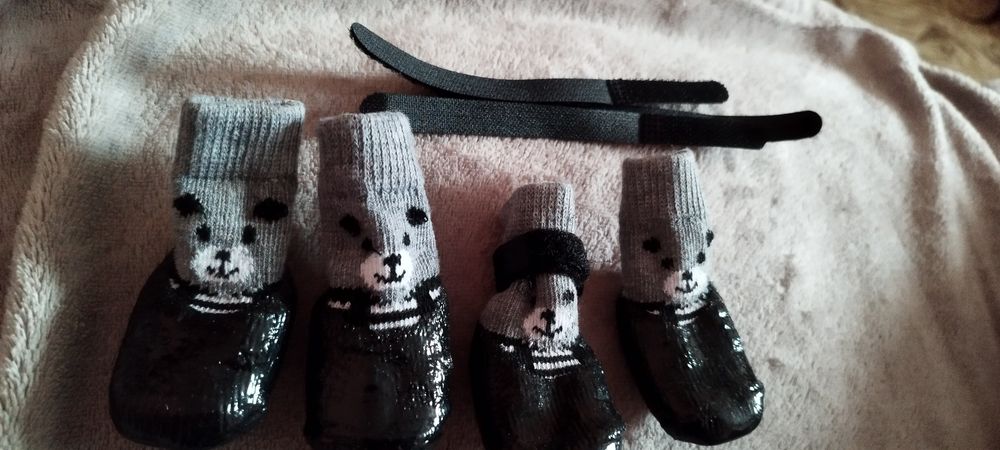 Носочки для животных