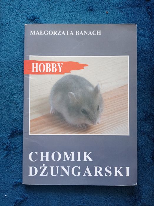 Chomik dżungarski Małgorzata Banach hobby