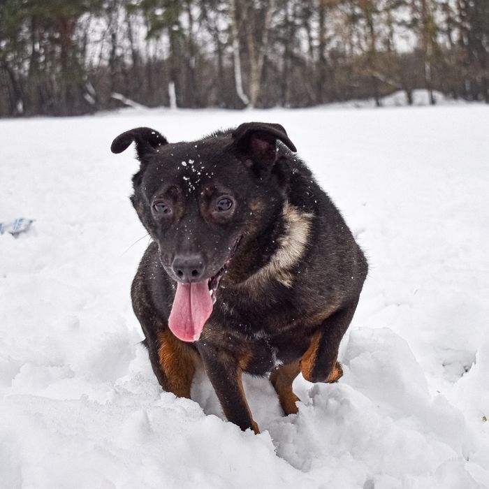 Zrobiła ogromne postępy! Szuka kochającej Rodziny!