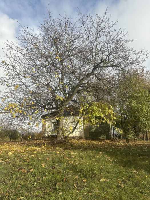 Продаж будинку в с.Гільці