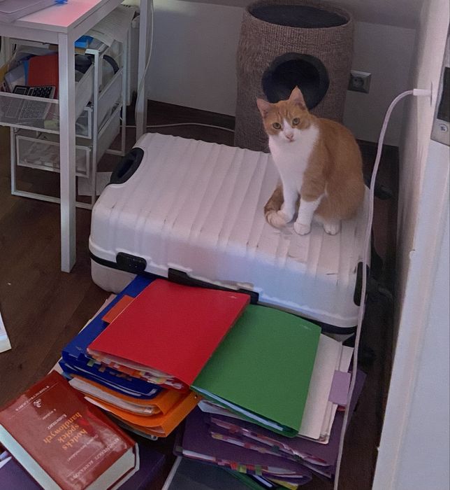 Zestaw materiałów na egzamin zawodowy