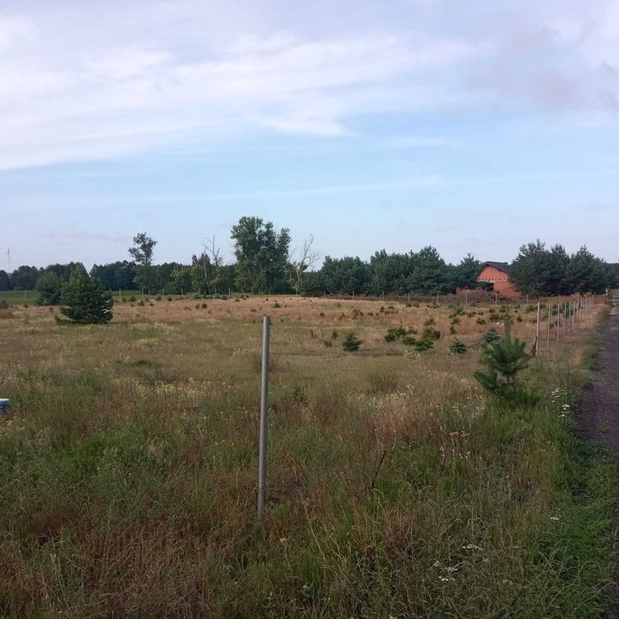 DZIAŁKA 34 ar, Wilcza Kłoda