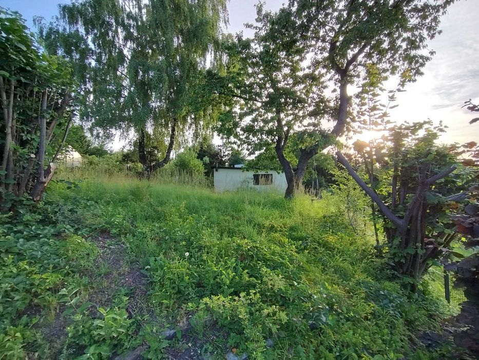 Działka rekreacyjna, ogródek działkowy ROD Lipnik - duża - Widok 3