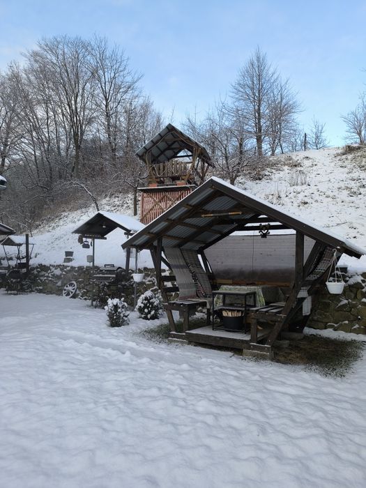 Відпочинок в Поляні . оренда житла.