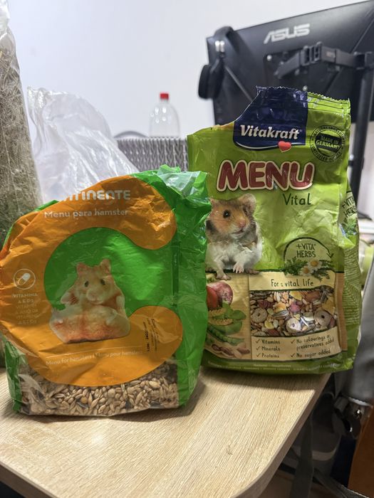 Terrário para roedor