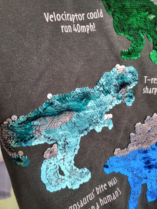 Bluza 122/128 dinozaury