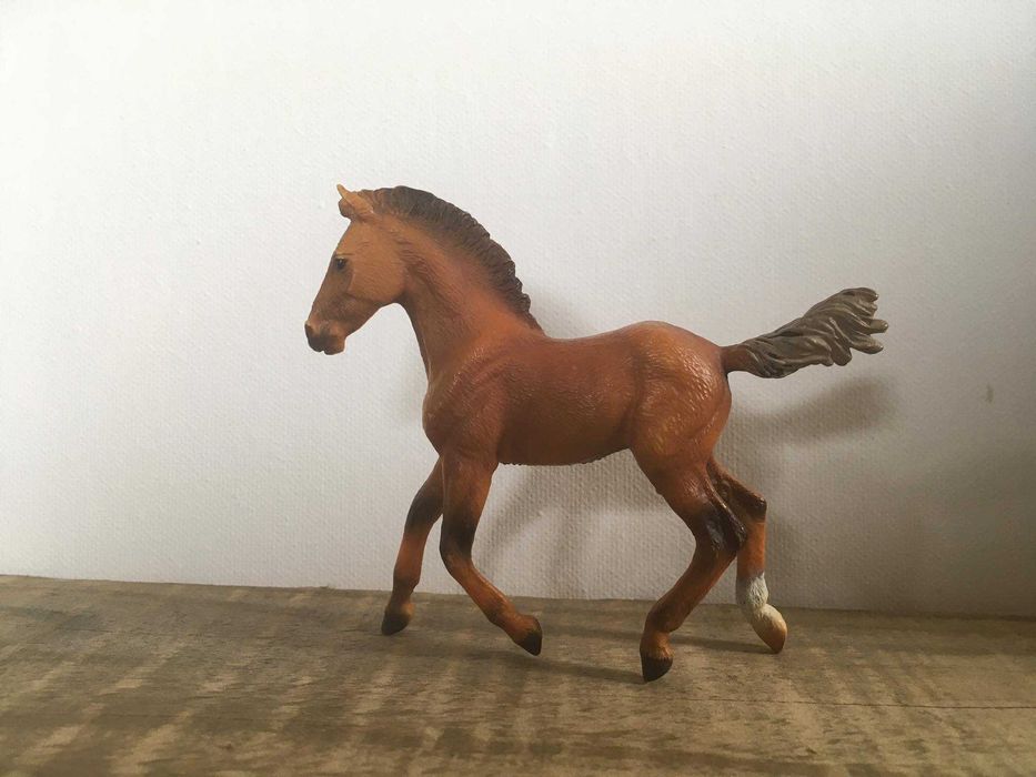 collecta kucyk źrebię rasy koń hanowerski