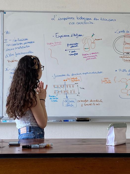 aulas de apoio em visio