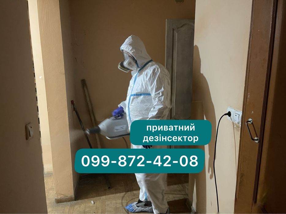 100% знищення шершнів ос тарганів клопів блох ЩУРІВ мишей с гарантією. Житомир