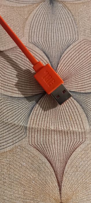 Наушники JBL Endurance DIVE.