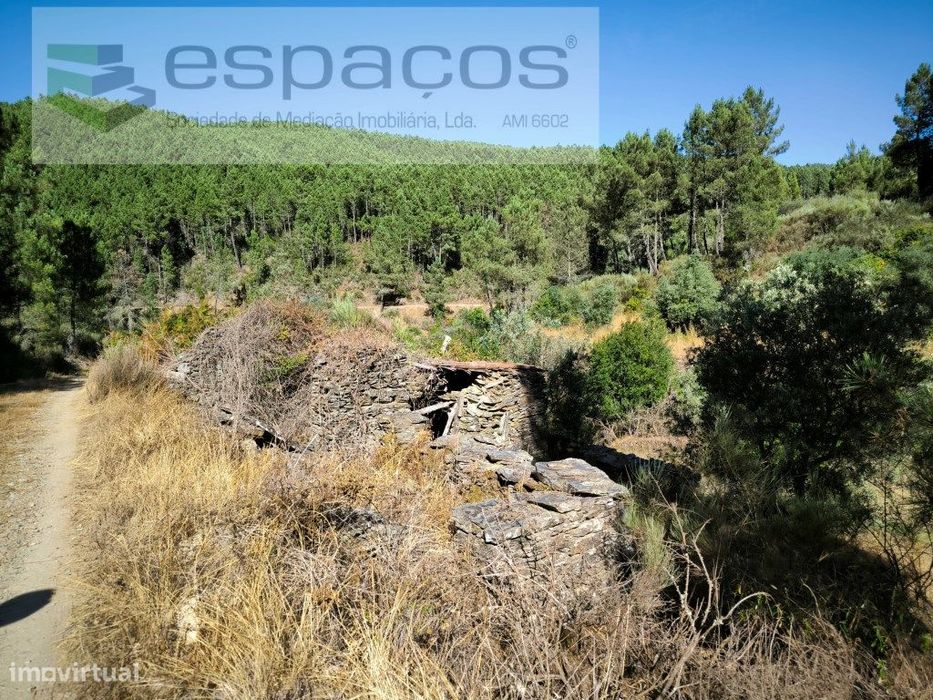 Terreno Agrícola