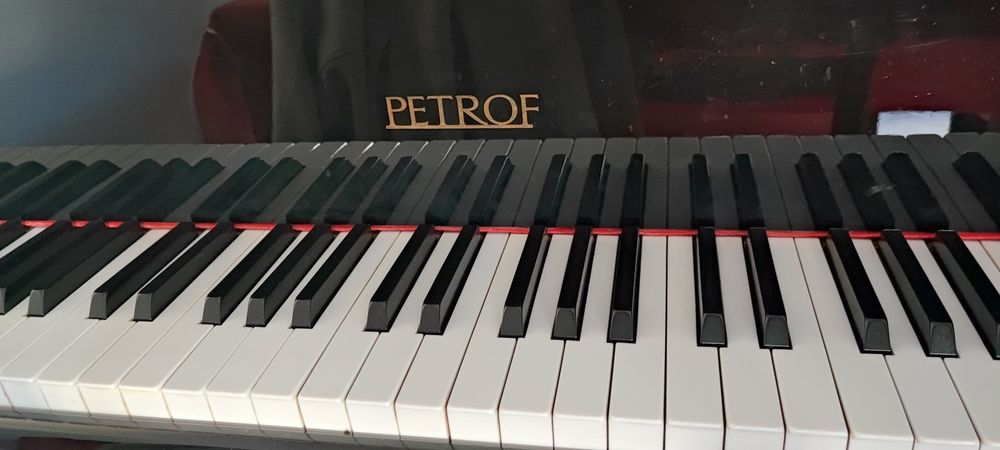 Vendo Piano Petrof 1/4 cauda