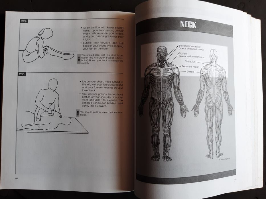 Sport stretch (Alongamentos desportivos)